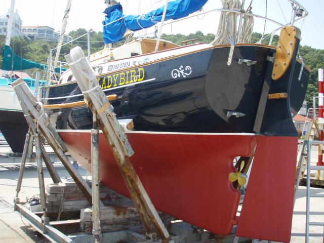 With the fresh bottom paint and buffed hull and deck, Lady Bird looks as new as she was 19 years ago. The two transom steps, a wooden bar through-bolted to the rudder, along with the rudders middle pintle_n_gudgeon and the prop aperture are all one needs to climb aboard from the sea.