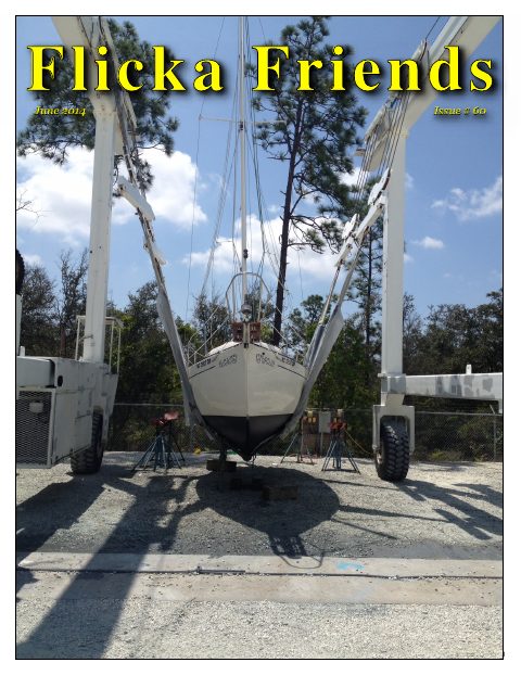 Cover of Summer 2014, Vol 16 #5, edited by Tom Davison
